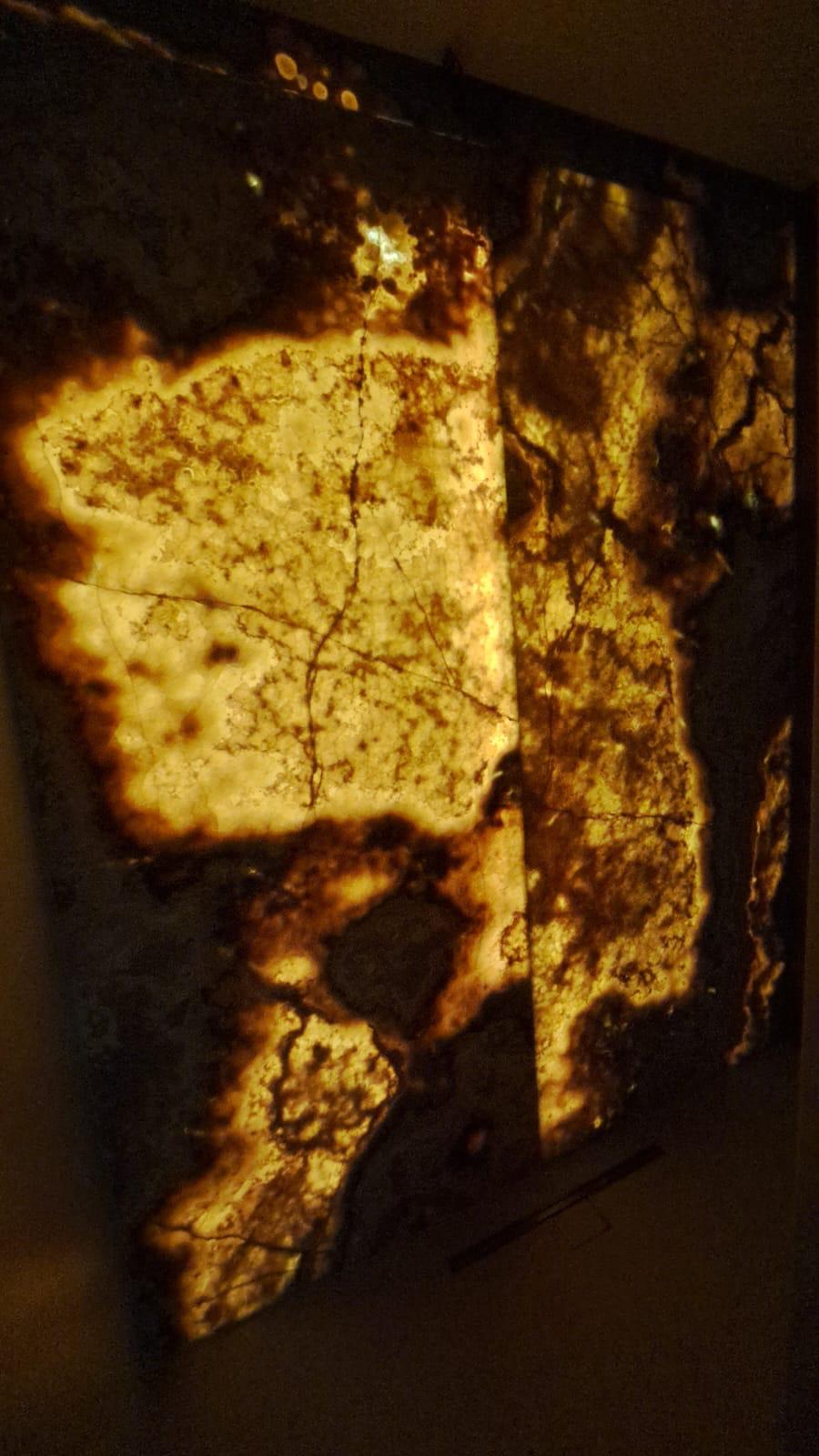 Изображение WhatsApp 2024-02-16 в 07.08.30_f6041d58